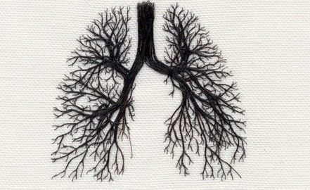 Méthode JMV - Le poumon en médecine chinoise